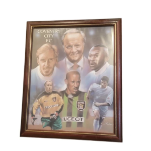 COVENTRY CITY FRAMED ARTWORK 1994/95 COLOUR